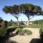 www.Saint-Tropez-Bonnaud.com